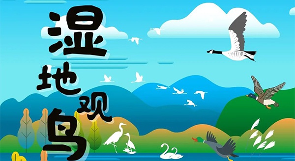 【獨立觀鳥一日營】走進白馬湖濕地，一起來探尋鳥兒的秘密